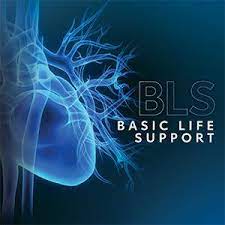 AHA Basic Life Support Renewal